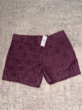 LOFT Plum Lace Trim Women's Shorts